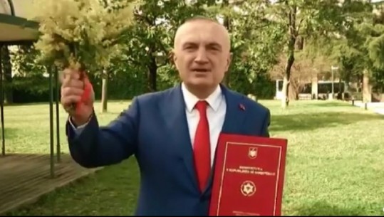 Me kushtetutën e një buqetë mimozash në duar, Meta thirrjen e fundit për shqiptarët para tubimit (VIDEO)