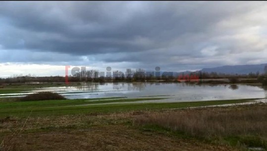 Reshjet e shiut shkaktojnë përmbytje në zonën Fushë-Krujës, del nga shtrati lumi Ishëm