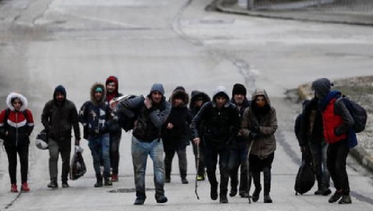 Vazhdon dyndja e emigrantëve drejt kufirit grek! Erdogan i hapur për dialog me BE