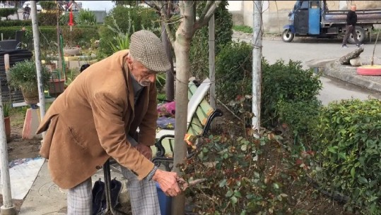 'Ata që luajnë domino të mbjellin ndonjë pemë e Shqipëria do bëhet lule'...Historia frymëzuese e 76-vjeçarit (VIDEO)