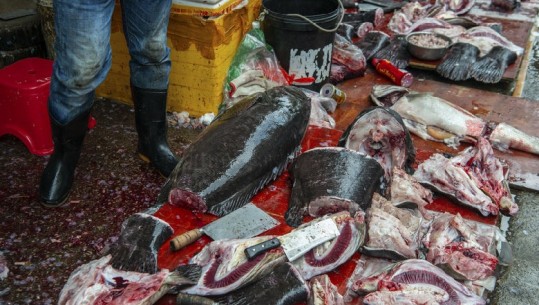 Konronavirusi/ Kina kthen në ilegale tregtimin e kafshëve të egra, por me një kleçkë të vogël: Ja pse ligji s'mund të funksiojë