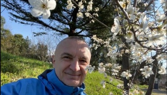 Meta mesazh politik me një foto mes lulesh: Pranvera nuk ndalet!