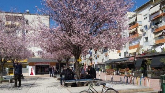 Një rrugëtim nëpër Tiranën e 'izoluar', të moshuarit 'sherr' në lulishte për shahun e dominonë...Sa të ndërgjegjësuar janë qytetarët? (VIDEO)