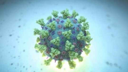 Antibiotikët apo hudhrat luftojnë koronavirusin? Faktet dhe të pavërtetat që duhet të dini për Covid 19