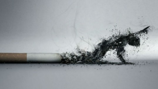 Pse janë më të rrezikuar shqiptarët nga Covid-19: Ndotja dhe duhanpirja kanë rritur sëmundshmërinë e mushkërive