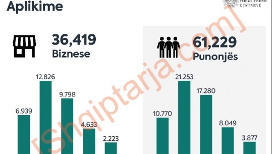 Pagat e koronavirusit/ Shpërndahet kësti i parë për 9 mijë e 506 punonjës! Refuzohen 7.512  aplikime (kryeson Tirana)