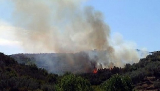 Shkon për të shuar zjarrin, zjarrfikësi i Elbasanit kafshohet nga gjarpri