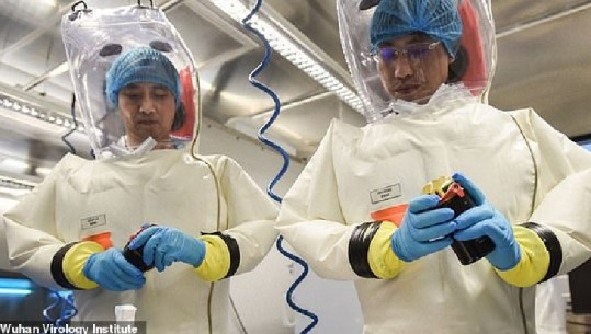 Eksperimenti me lakuriqët, mediat angleze: Tregu i Wuhan-it nuk ishte burimi i infeksionit, koronavirusi një gabim në laboratorin e financuar nga SHBA