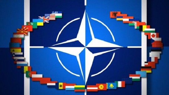 COVID-19 mbledh NATO-n online, Stoltenberg vlerëson gazetarët: Po bëjnë punë të mirë ndaj fake news