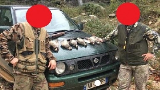 'Masakër' në pyjet e Shqipërisë, dhjetëra gjahtarë shfrytëzojnë situatën nga COVID-19 për të vrarë kafshë dhe shpendë të rralla