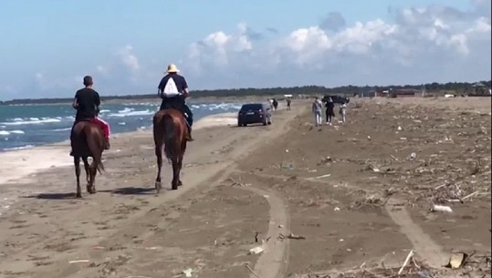 Plazhi i Darëzezës në mëshirë të fatit, vihet nën 'pushtetin' e mbeturinave (VIDEO)