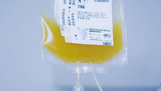 Covid-19, terapia me gjakun e pacientëve të shëruar ende nuk është e mjaftueshme. Shpresa? Te derrat…