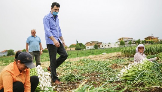 Pas dy gjobave, Basha mes hudhrave në Lushnje: Ramavirusi po i rrënon, ju tregoj shqetësimet e fermerëve