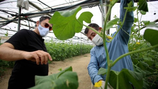 Çuci: COVID-i nuk preku eksportet në bujqësi, 14% rritje gjatë muajit prill