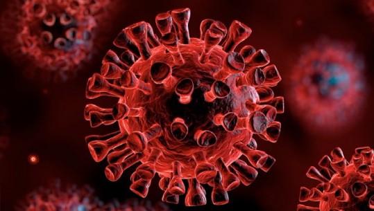 Covid-Studimi amerikan shton dyshimet se vera dhe moti i ngrohtë do ta ndalojnë koronavirusin