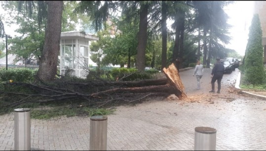 Rrëzohet pema në kryeministri, shpëtojnë fatmirësisht dy gardistët (VIDEO)