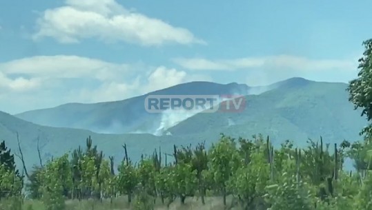 Zjarr në pyjet e Kurbinit, flakët favorizohen nga era dhe terreni i thyer (VIDEO)