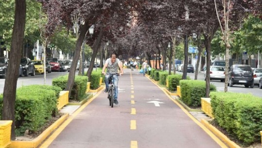 Tiranë/Për herë të parë gjobiten 36 drejtues biçikletash, nuk lëvizën në korsinë e dedikuar për ta dhe s'respektuan semaforin
