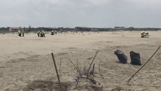 Pas shqetësimit të ngritur nga Report Tv, nis aksioni i pastrimit ne plazhet e Semanit dhe Darëzezës