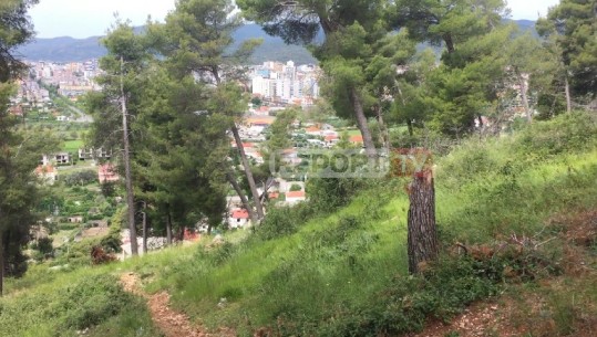 Pamje nga Kodër Krasta, vendi ku u shënjestra Ardian Çapja! Foto të snajperit ushtarak të djegur në makinë