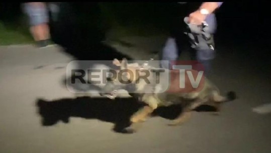 Ekzekutimi në Tiranë/ Në makinën e djegur gjendet automatiku me silenciator! Policia kontrolle me qen