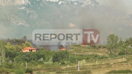 Dy vatra zjarri brenda pak orësh, digjen disa hektarë në 'Kodrën e locëve' në Fushë Krujë, flakët përfshijnë masivin pyjor në Lezhë