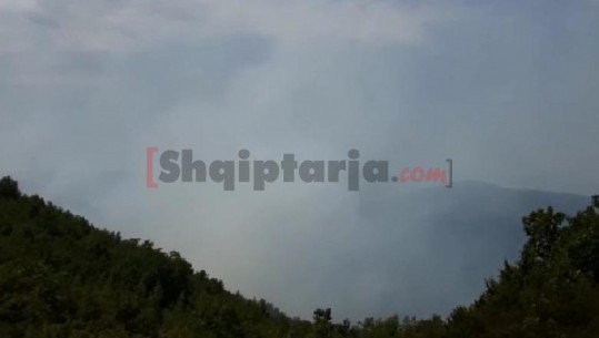 Vijon aktive vatra e zjarrit në Lezhë, digjen 3 hektar pyje e shkurre, kërkohet ndërhyrje nga ajri