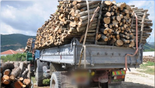 Me 20 m³ dru pa leje në 'Benz' dhe i dehur në timon, arrestohet 32-vjeçari në Pogradec