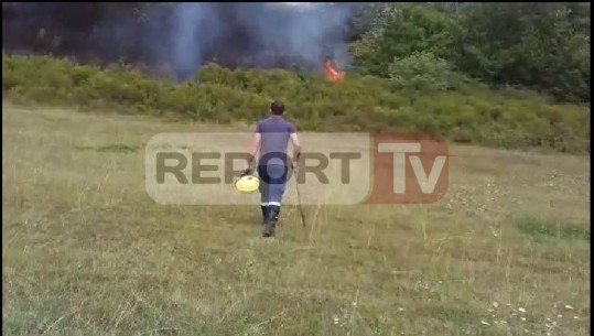 Zjarri djeg vreshtin e rrushit dhe pyllin në Fushë Krujë, dyshohet i qëllimshëm (VIDEO)