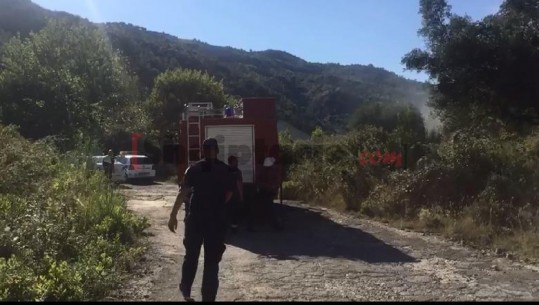 Vrasja në Elbasan, policia: Autorët dogjën makinën dhe u zhdukën në kodrat me ullishte