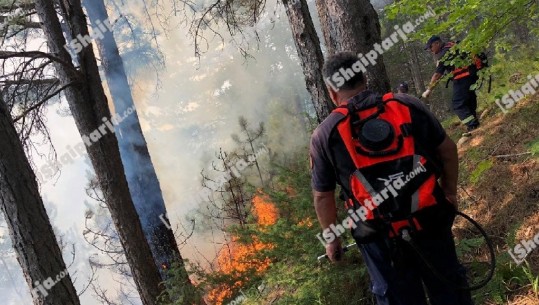 Përfshihet nga zjarri pika turistike e Funarit në Elbasan, perla e fshehur mes 4 liqeneve (FOTO)
