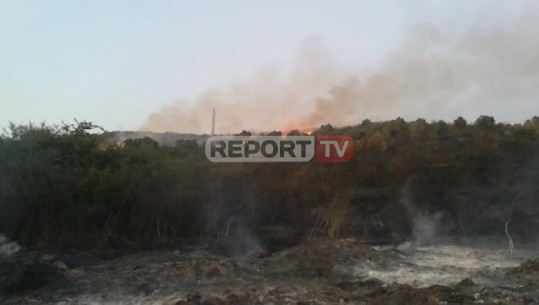 Zjarr në kodrat e Divjakës, digjen 4 hektarë ullishte e 6 hektarë bimësi e egër (VIDEO)