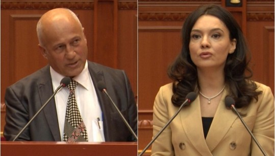 Deputeti opozitar: Të krijohet ministria për Trojet shqiptare! Ironia e Spiropalit: Diplomatët nuk janë gra që joshen me uiski (VIDEO)