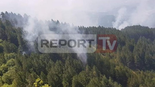 Vijon zjarri në pikën turistike të Funarit, një vatër e re përfshin fshatin Gur i Zi në Elbasan