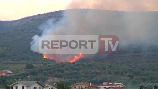 Zjarr masiv në dy fshatra në Lushnje, digjen hektarë me ullinj shekullorë (VIDEO)