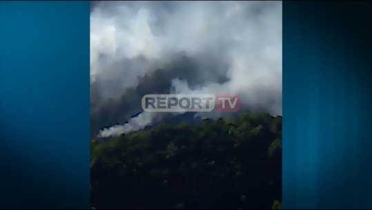 Zjarri në pyjet e Zejmenit në Lezhë aktiv prej dy javësh, afrohet drejt fshatrave duke rrezikuar jetën e banorëve