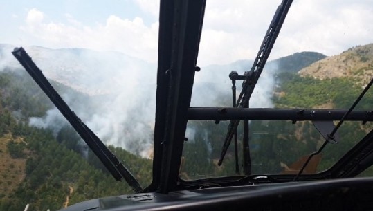 Zjarr në pyjet e Rublikut, vihet nën kontroll pas ndërhyrjes nga ajri të Forcave Ajrore