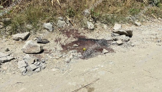 Njolla gjaku! Report Tv në vendin ku ndodhën ku 2 vrasjet që tronditën Elbasanin brenda 12 orëve
