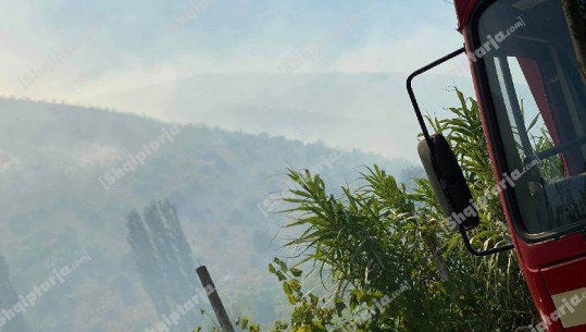 Aktivizohen disa vatra zjarri në Shkodër, autoritetet kërkojnë ndërhyrje nga ajri dhe resurse njerëzore e logjistike