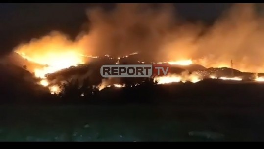 Flakët ‘përpijnë’ pyjet nga veriu në jug! Zjarr masiv në Tepelenë, rrezikohen zonat e banuara! Vatra edhe në Gramsh Seman e Rubik