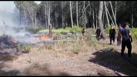 Zjarri vijon të përfshijë sipërfaqe me pisha në Seman, priten përforcime nga ushtria