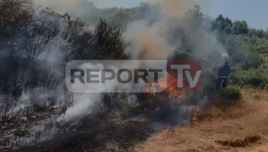 Zjarr i madh në Fushë-Krujë, rrezikohen varrezat e fshatit dhe banesat përreth