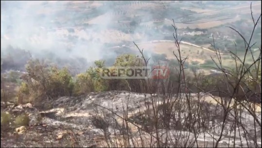 Kodra me ullinj e vreshta përfshihet nga zjarri në Hekal të Mallakastrës (VIDEO)