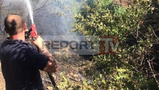 Situatë anormale me zjarret në Kukës, Rexha: 46 raste në korrik, 90% të qëllimshme