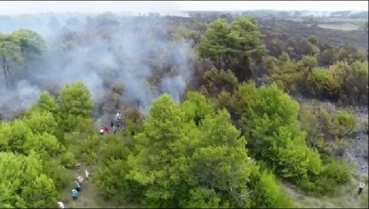 Pamje me dron të pishave e shkurreve të bëra shkrumb e hi nga pushteti i zjarrit në Seman (VIDEO)