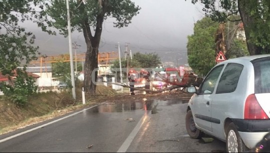 Rrëzohet pema, bllokohet aksi nacional Gjirokastër- Kakavijë! Radhë kilometrike të makinave (VIDEO)