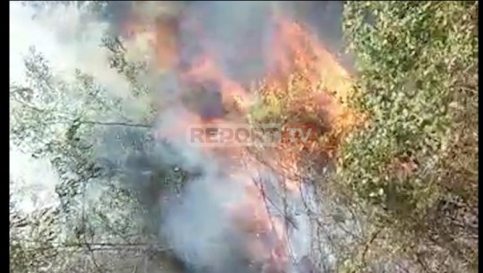 Zjarr i qëllimshëm në 'Kodrën e Dervinëve' në Krujë, digjen mbi 6 hektarë kullotë e pyje