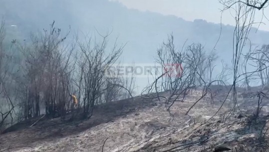 Zjarri përpin pyjet në Krujë, flakët rrezikojnë varrezat e dëshmorëve dhe banesat përreth (VIDEO)