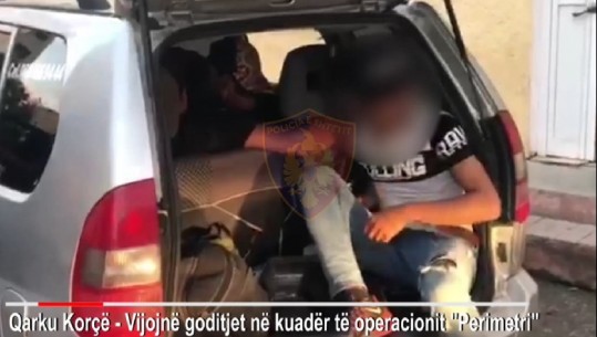 Pogradec/ Transportonte 6 emigrantë të paligjshëm drejt Tiranës, arrestohet 38-vjeçari me patentë të falsifikuar (VIDEO)