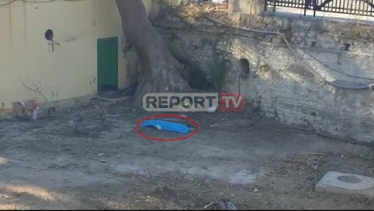 Bie nga lartësia duke prerë pemën, vdes punonjësi i drejtorisë së bashkisë në Berat (VIDEO)